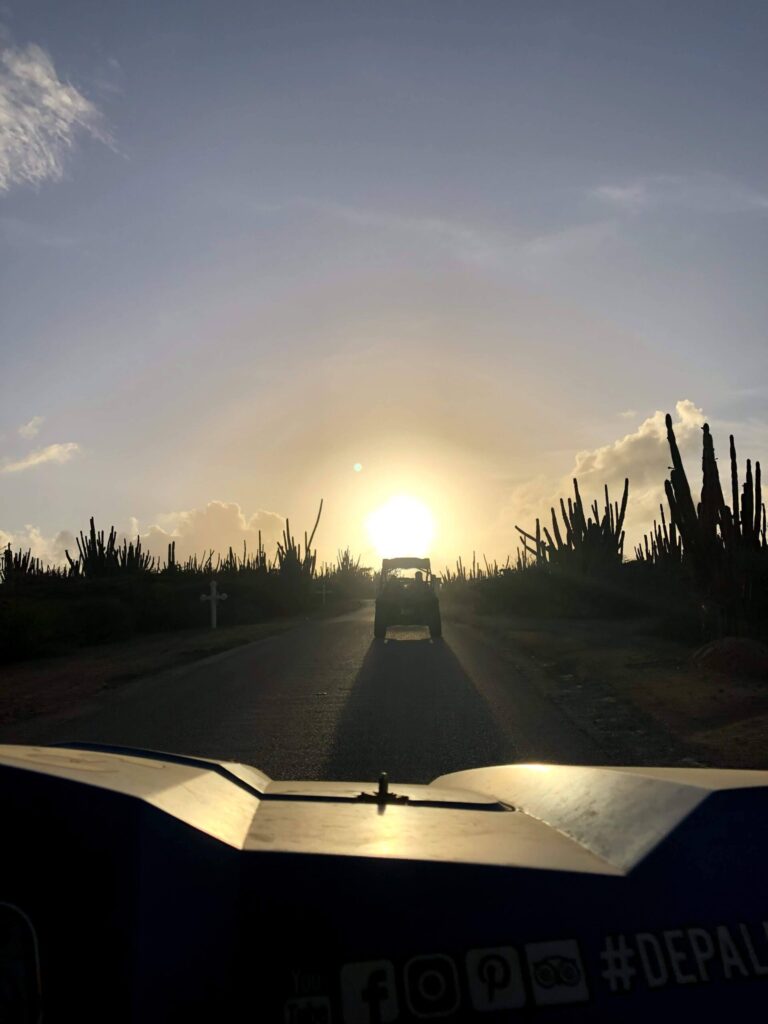 Sun setting over a desert road as a pickup drives toward the horizon, with tall cactus silhouettes on both sides and a bright sun low in the sky.