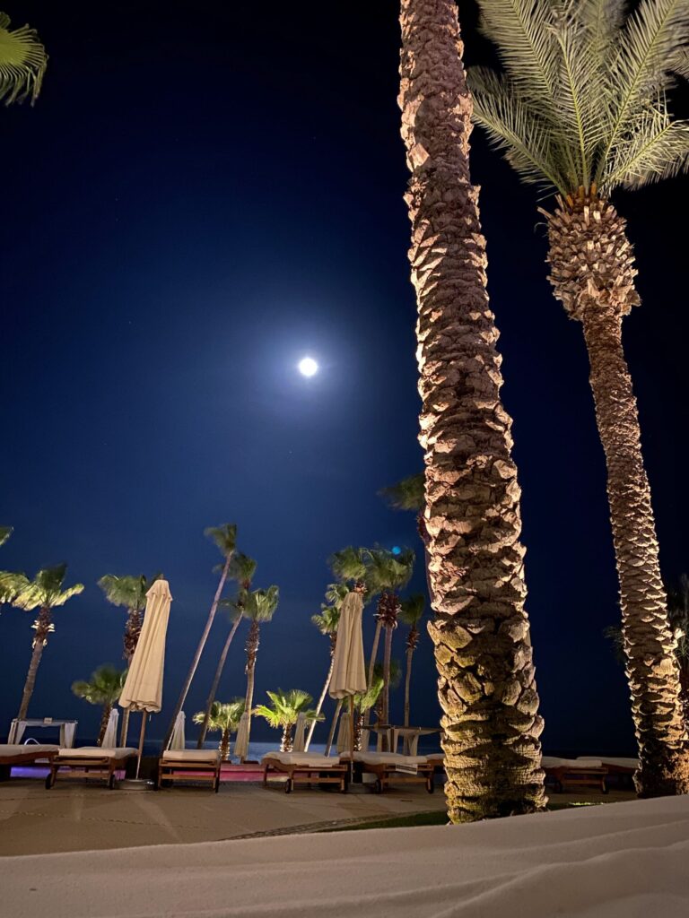 Moonlit resort beach with tall palm trees, closed beach umbrellas, and empty loungers against a dark night sky with a bright moon.