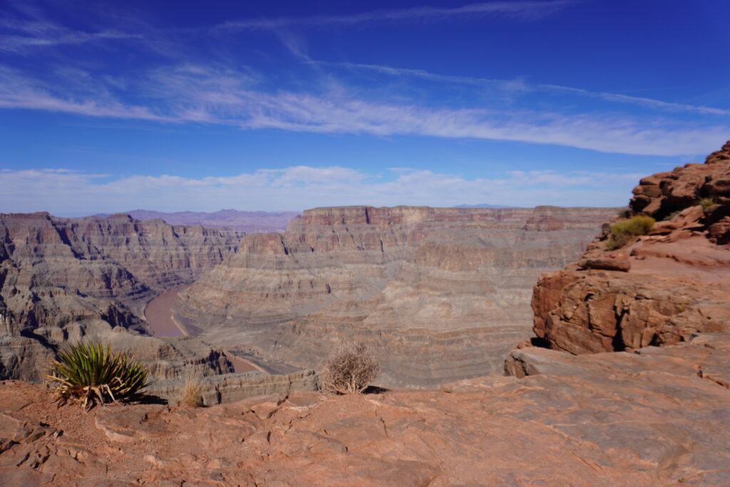 Overlook viewpoint of a vast desert canyon with layered red rocks, a winding river at the bottom, and a bright blue sky. Foreground shows dry soil and a desert plant on the left.